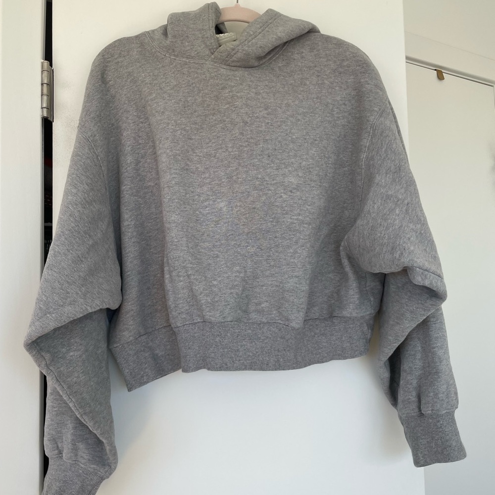 Heather Gray Aritzia Cropped TNA Hoodie